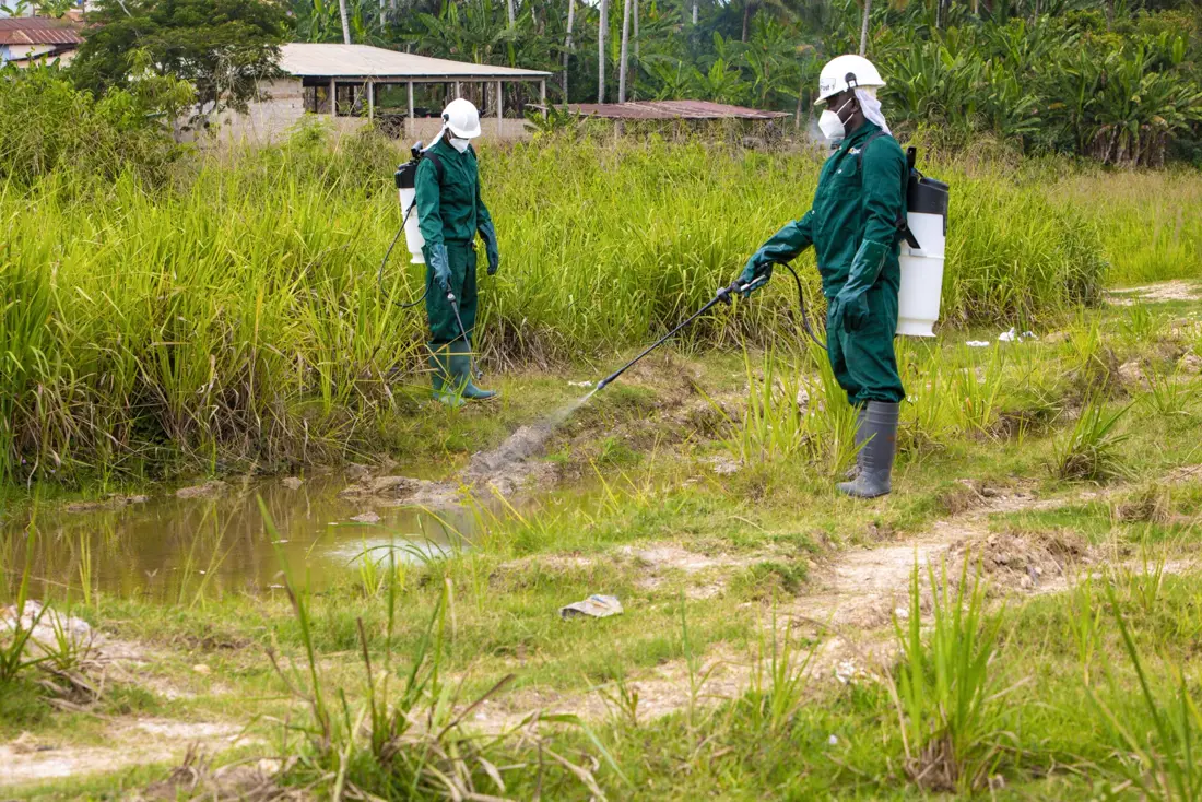 Two larviciding officers in protective gear treat standing water in tall grass